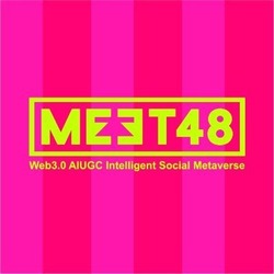 MEET48LOGO