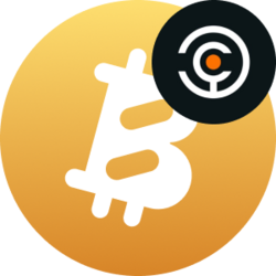 Solv Protocol xSolvBTCLOGO