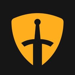 Camelot TokenLOGO