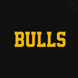 BullsLOGO