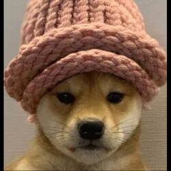 Wif - SecondChanceLOGO