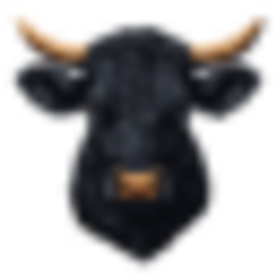Black AgnusLOGO