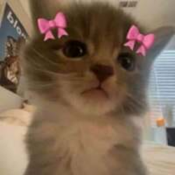 iiii lovvvv youuuuLOGO