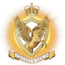 Pegasus Gold Real EstateLOGO