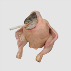 Smoking Chicken FishLOGO