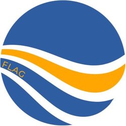 Flag CoinLOGO
