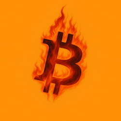 BurncoinLOGO