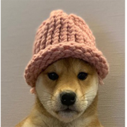 dogwifhat EthLOGO