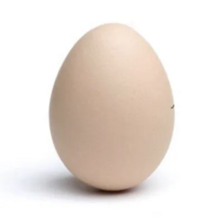EggLOGO