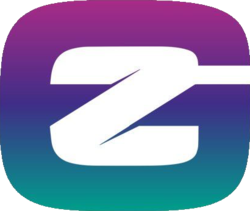 governance ZILLOGO