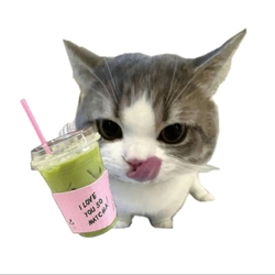 iloveyousomatchaLOGO