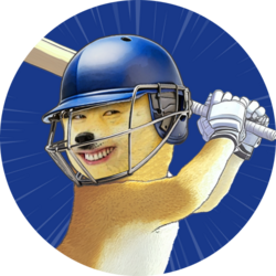 Indian Premier League Fan TokenLOGO