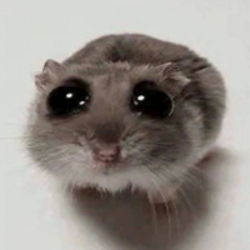 SAD HAMSTERLOGO