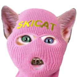 SKI MASK CATLOGO