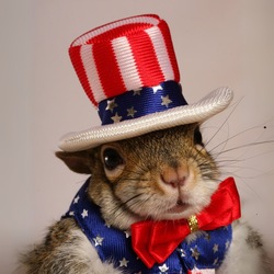 Sugar Bush the SquirrelLOGO