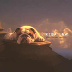 US Ambassador Animal Cruelty LawLOGO