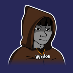 Wakehacker by VirtualsLOGO