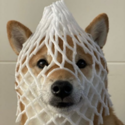 Wrapped DOGLOGO